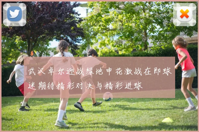 武汉卓尔迎战绿地申花激战在即球迷期待精彩对决与精彩进球